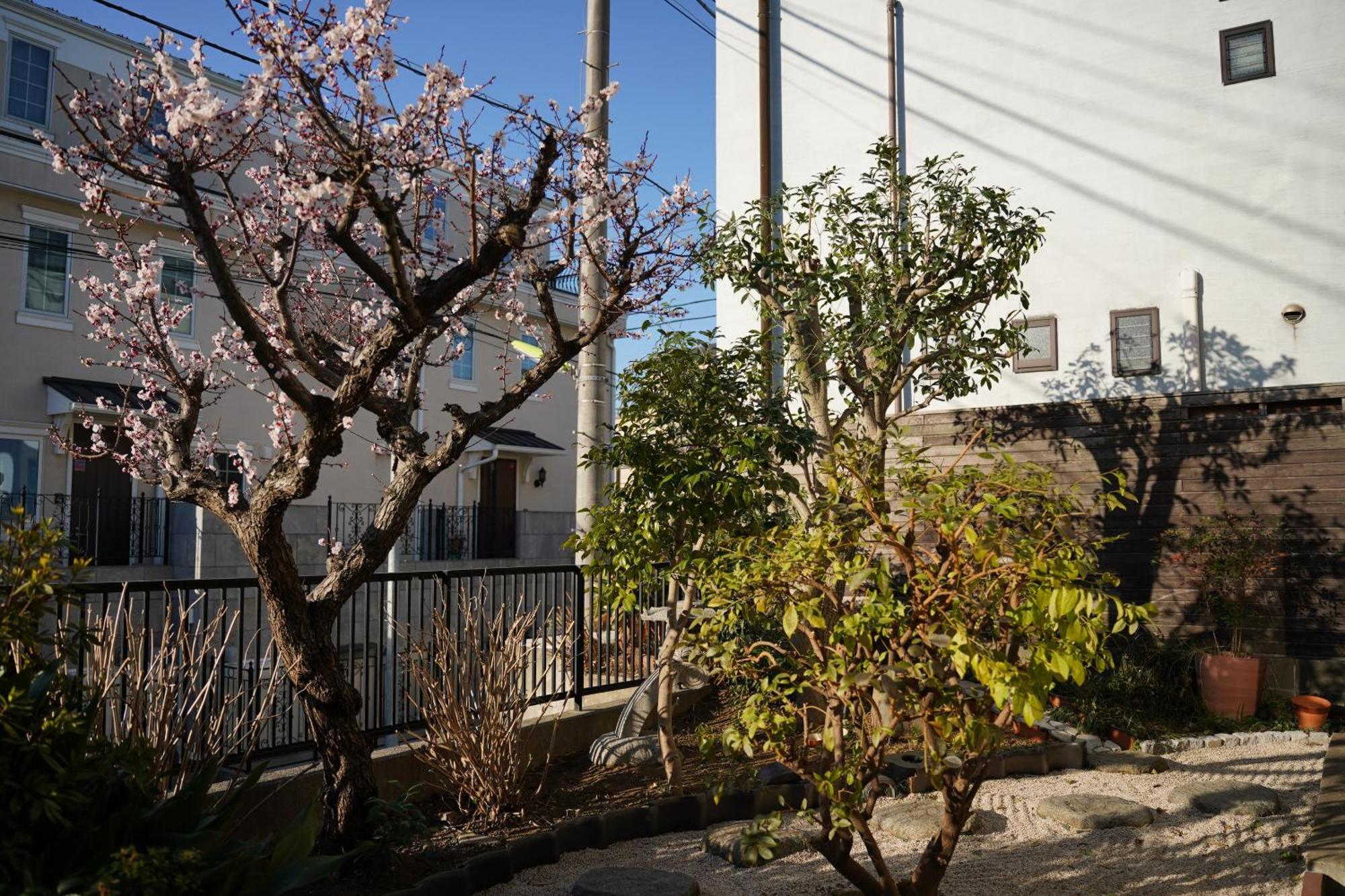 Shimokitazawa Akima Tokyo