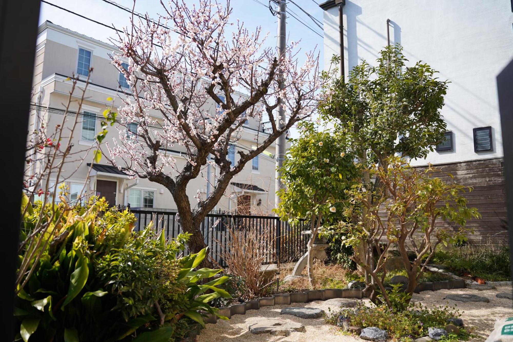 Shimokitazawa Akima * Tokyo